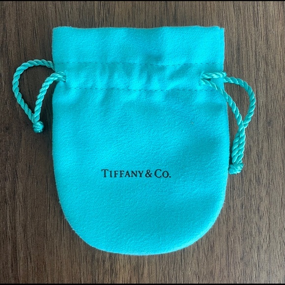 Tiffany & Co. Jewelry - Tiffany & Co. pouch (empty)
